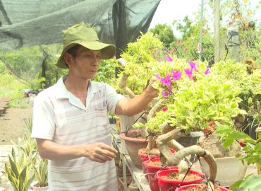 Từ giảng đường về quê làm vườn: Hành trình nghị lực của người đàn ông liệt một chân