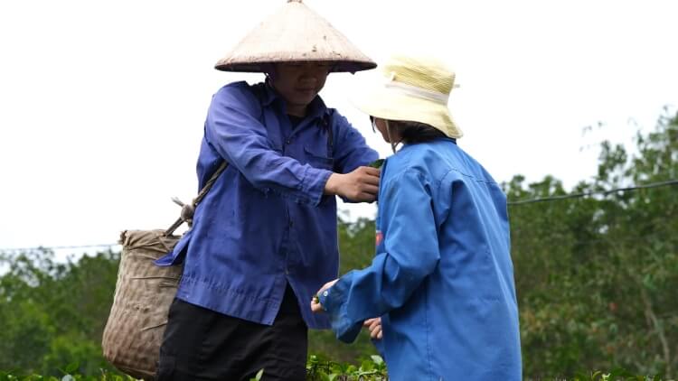 “My Sói” Thu Quỳnh Tôi chưa nhận vai chính vì muốn dành nhiều thời gian bên các con