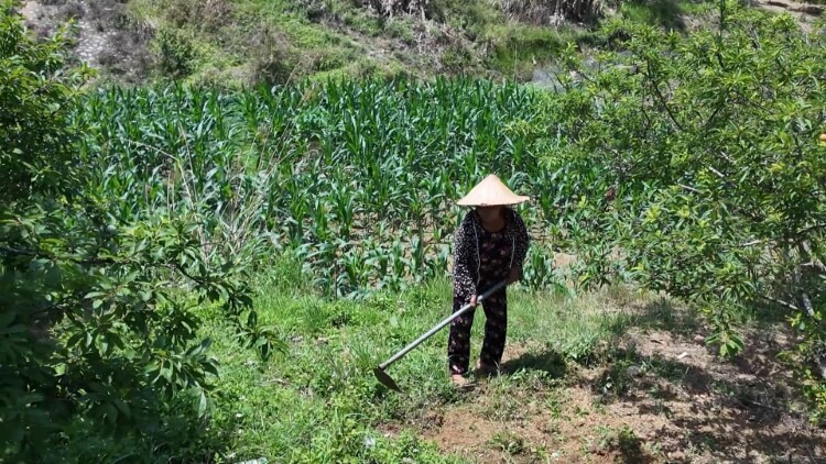 Diễn viên Thu Quỳnh và ca sĩ JayKii góp sức mang về hơn 100 triệu đồng cho các em nhỏ mồ côi