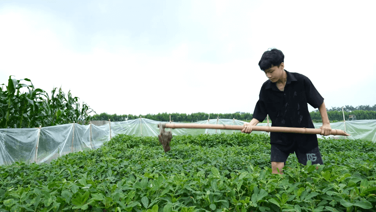 Ước mơ trở thành bác sĩ của những em nhỏ sớm thiếu thốn tình thân khiến nhiều người nghẹn lòng