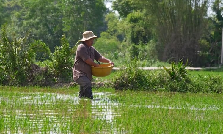 Đại Nghĩa, Ma Ran Đô và Nguyễn Duyên Quỳnh nhói lòng trước cảnh em nhỏ vừa học vừa gồng gánh gia đình vì cha mẹ bệnh nặng