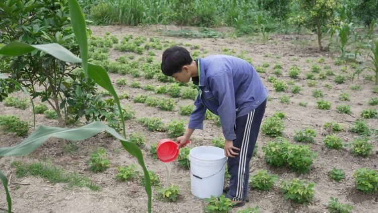 Hồng Phúc, Hoàng Tôn và Phương Oanh đau lòng cảnh người phụ nữ vừa phẫu thuật u cổ phải gồng gánh khi chồng qua đời