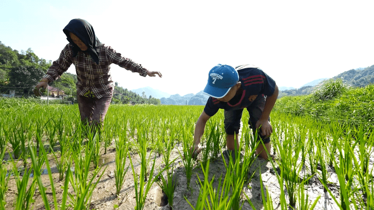 Ước mơ trở thành bác sĩ của những em nhỏ sớm thiếu thốn tình thân khiến nhiều người nghẹn lòng