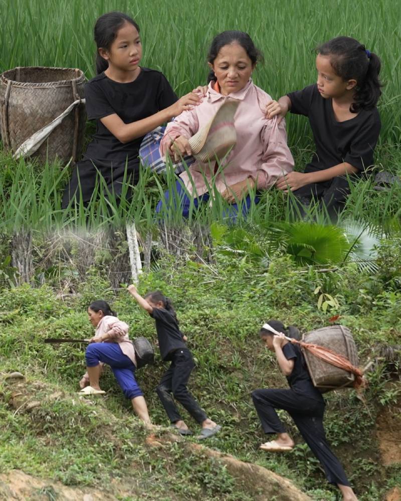 Đại Nghĩa, Quang Hà và Đồng Ánh Quỳnh nặng lòng trước cảnh người phụ nữ khuyết tật gồng gánh nuôi 2 con sau khi chồng mất