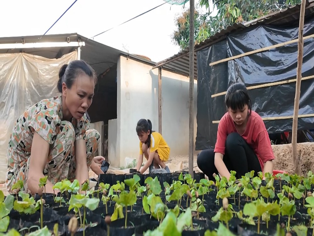 MC Thanh Thảo, Trương Đình Hoàng, Mai Phương xúc động trước hoàn cảnh người phụ nữ tần tảo lo cho chồng bệnh cùng 3 con thơ